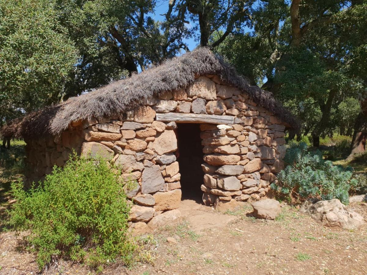 Sardinia Borgo Antico XIX Sec. Villa Gesturi Exterior photo